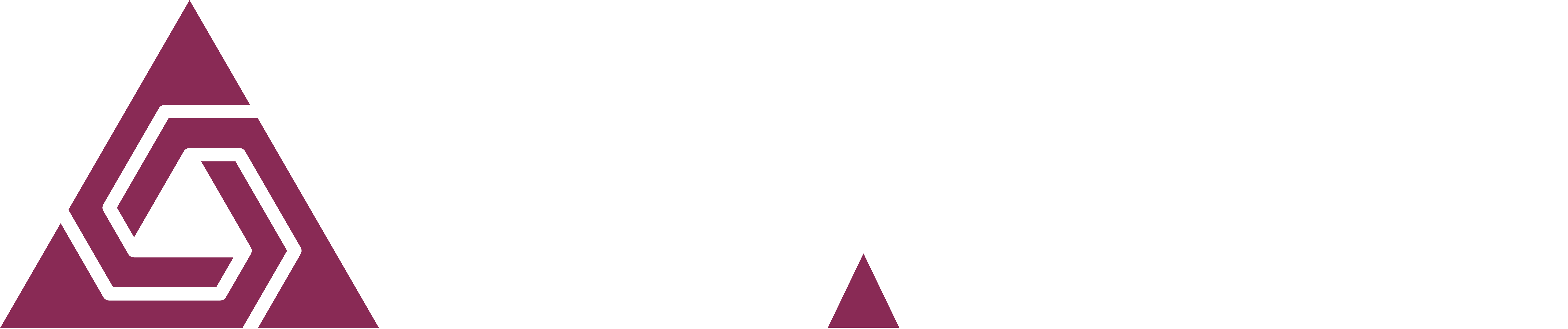 TAMI